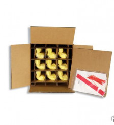 X Rated Packaging System Product P120460 1 v18