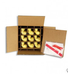 X Rated Packaging System Product P120460 1 v19